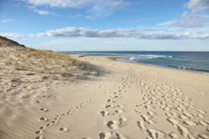 Cape Cod beach